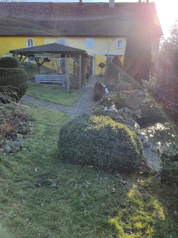 "Agroturystyka Pod Magnolia" Rybnica 33 Kültér fotó