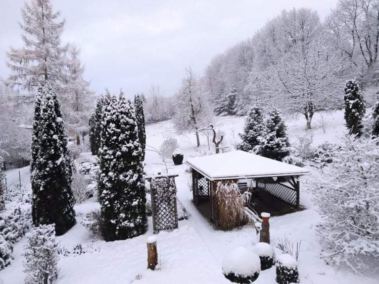 "Agroturystyka Pod Magnolia" Rybnica 33 Kültér fotó