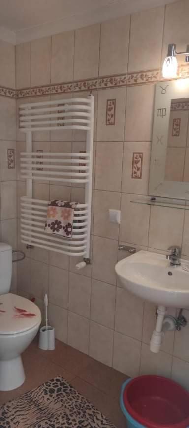 "Agroturystyka Pod Magnolia" Rybnica 33 Kültér fotó
